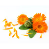 Crema de corp, cu galbenele BIO, Life Care®